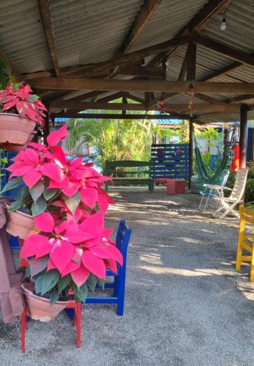 Photo of Others in Jardim Santa Tereza