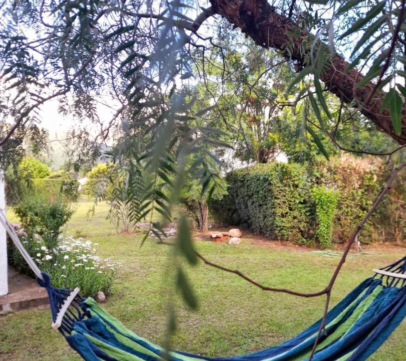 Photo of Outdoor in Cortaderas