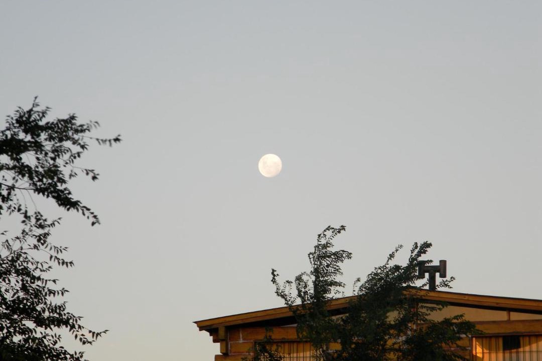 Photo of Others in Villa Giardino