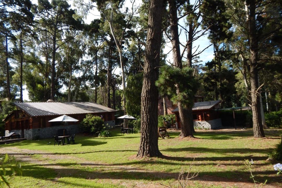 Photo of Others in Bosque Peralta Ramos