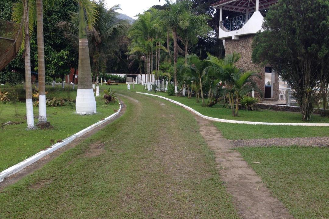 Photo of Others in Peruibe
