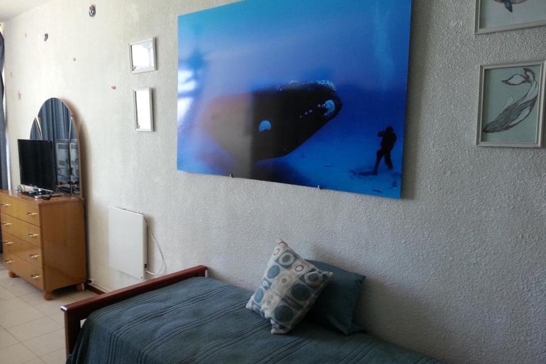 Photo of Others in Miramar