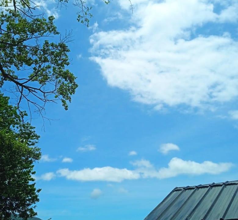 Photo of Others in Rio das Pacas