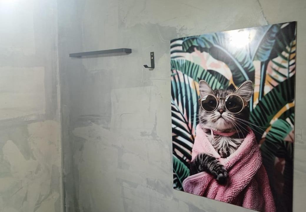 Photo of Others in Rio das Pacas