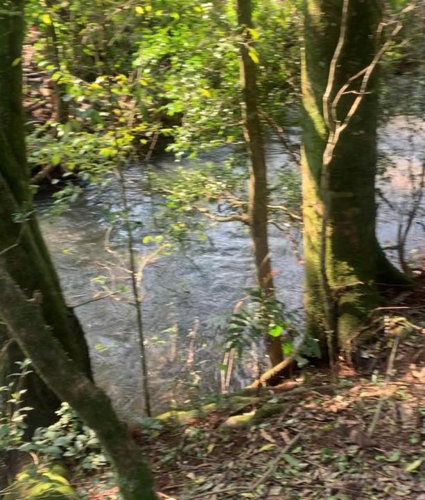Photo of Others in Sananduva