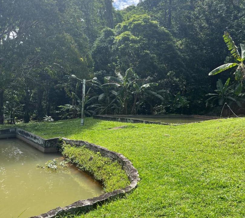 Photo of Others in Rio Bonito