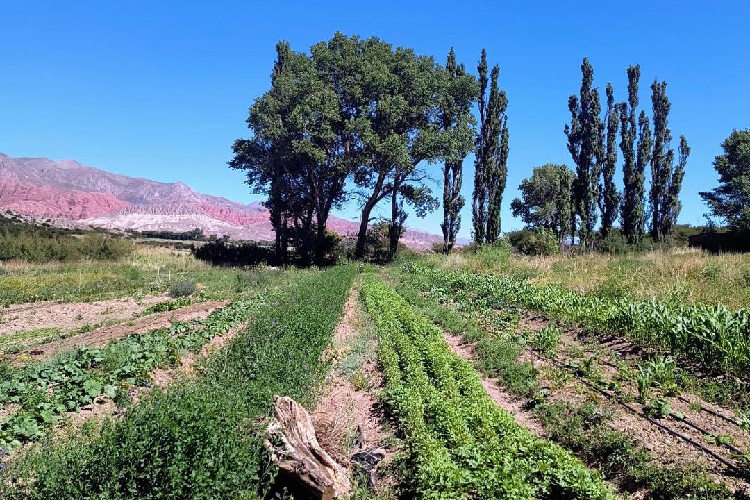 Photo of Others in Humahuaca