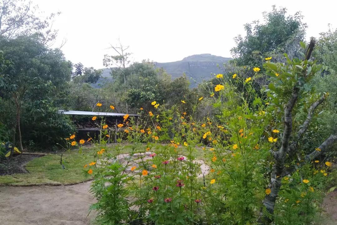 Photo of Others in Pati Valley