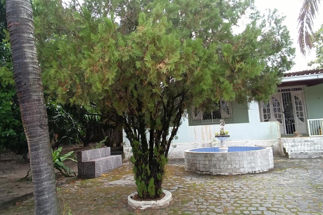 Photo of Others in Senhor Do Bonfim