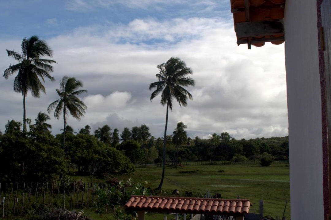 Photo of Others in Baixio