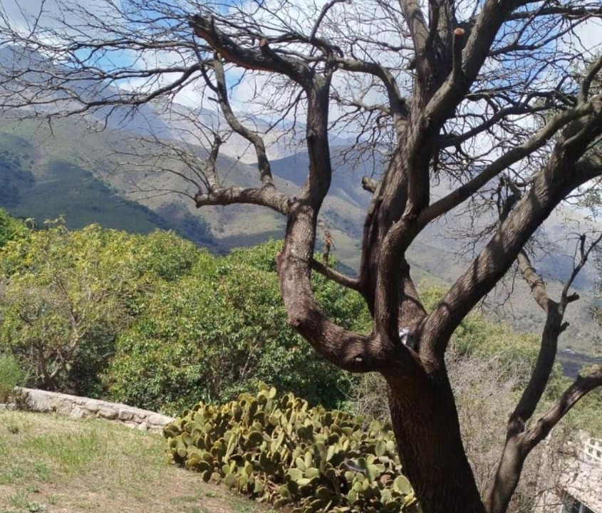Photo of Others in Los Hornillos