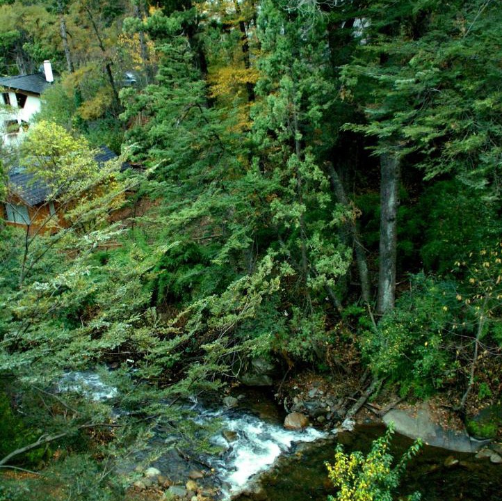 Photo of Others in Lanin National Park