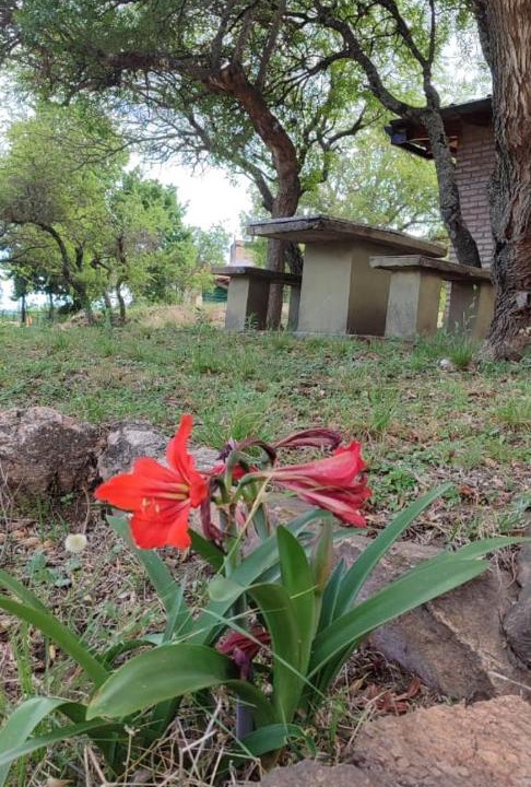 Photo of Others in Comuna Estancia Vieja