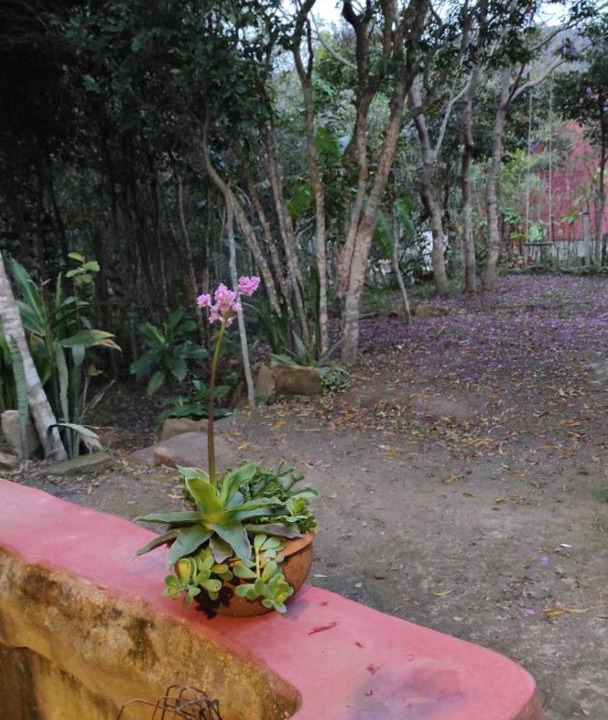 Photo of Outdoor in Caete-Acu