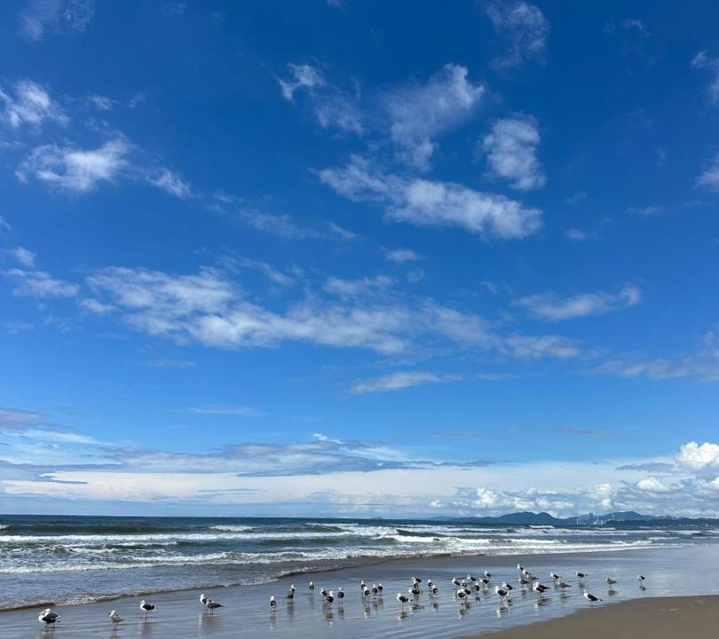 Photo of Others in Meia Praia