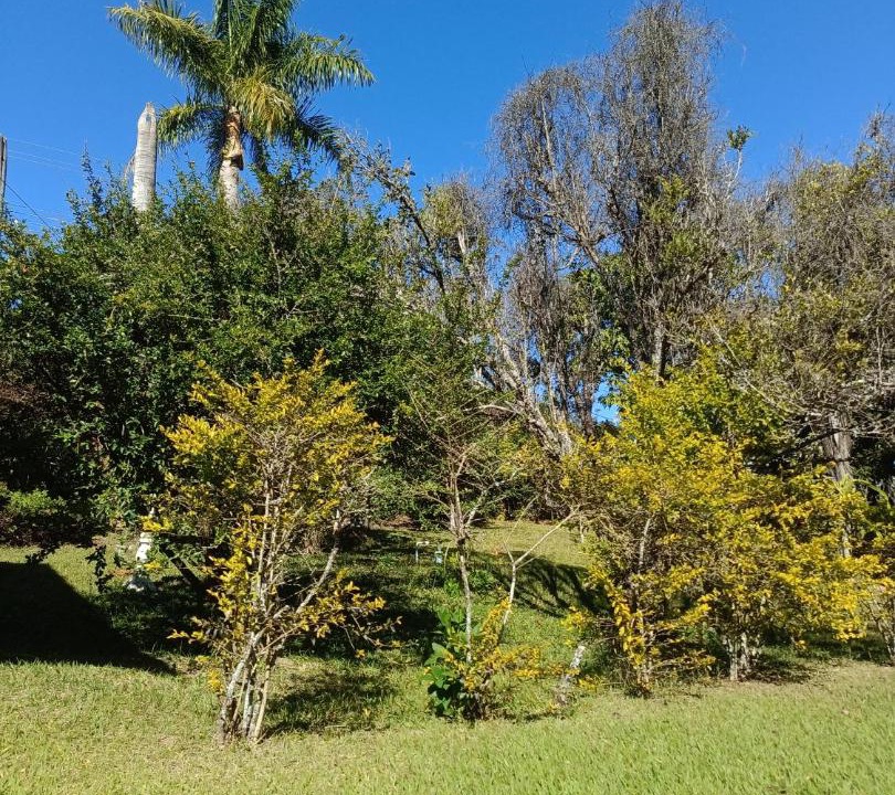 Photo of Others in Pinhalzinho