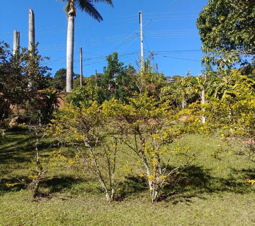 Photo of Others in Pinhalzinho