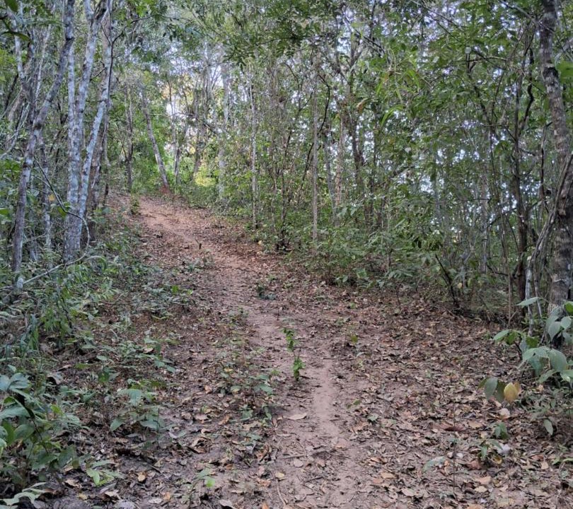 Photo of Others in Colinas do Sul