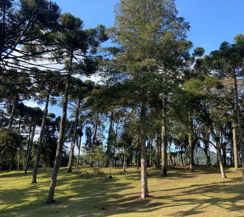 Photo of Others in Brasilia
