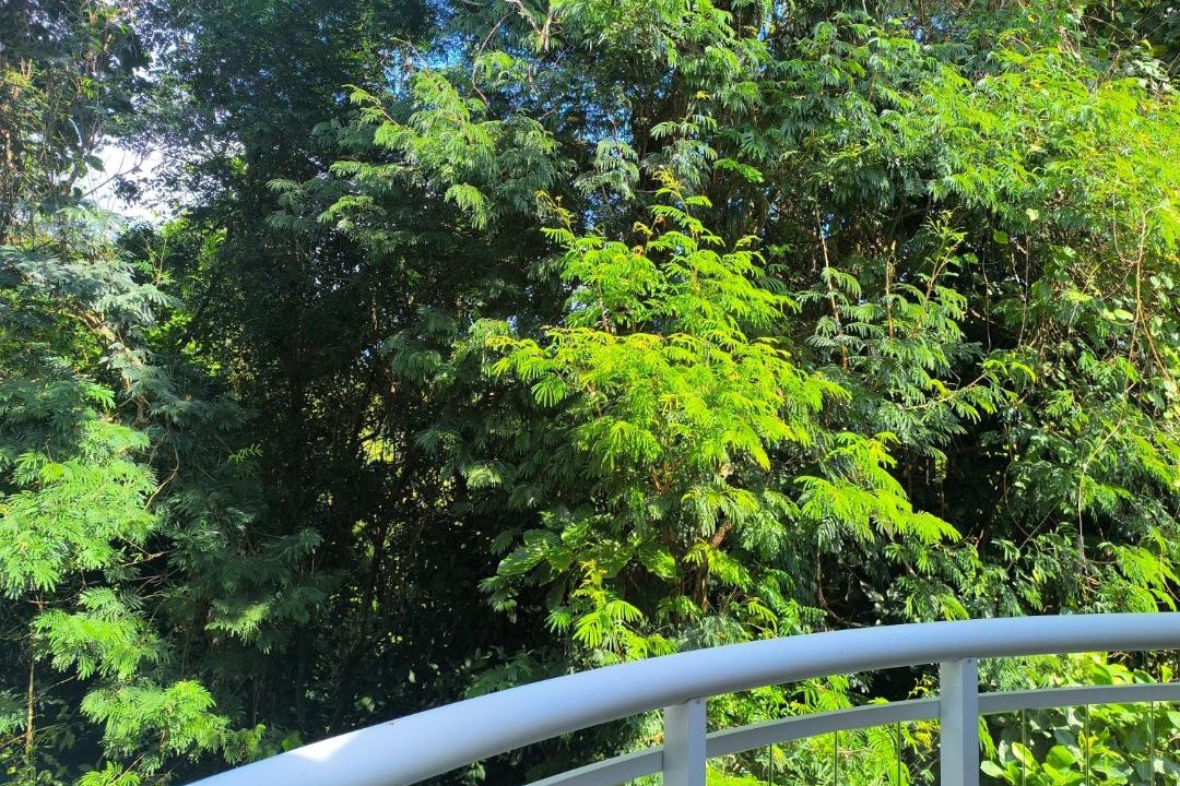 Photo of Others in Ilhabela