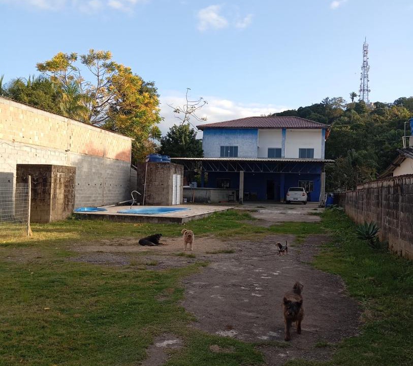 Photo of Others in Peruibe