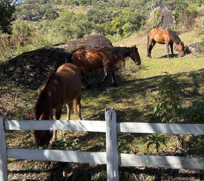 Photo of Others in Pocinhos do Rio Verde