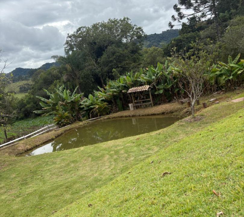 Photo of Others in Pocinhos do Rio Verde