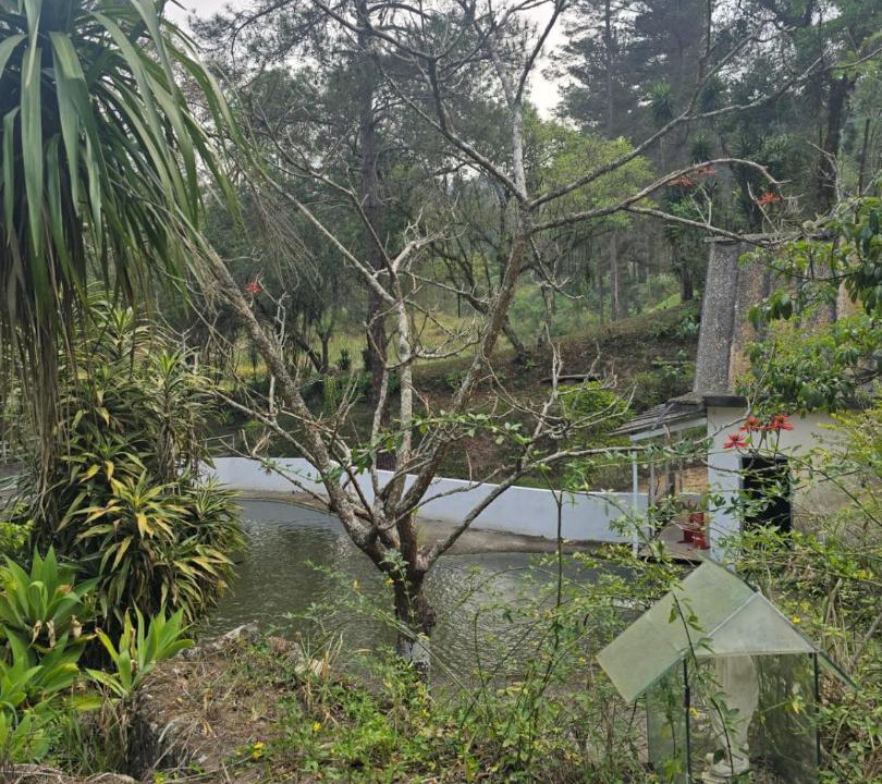Photo of Others in Mairipora