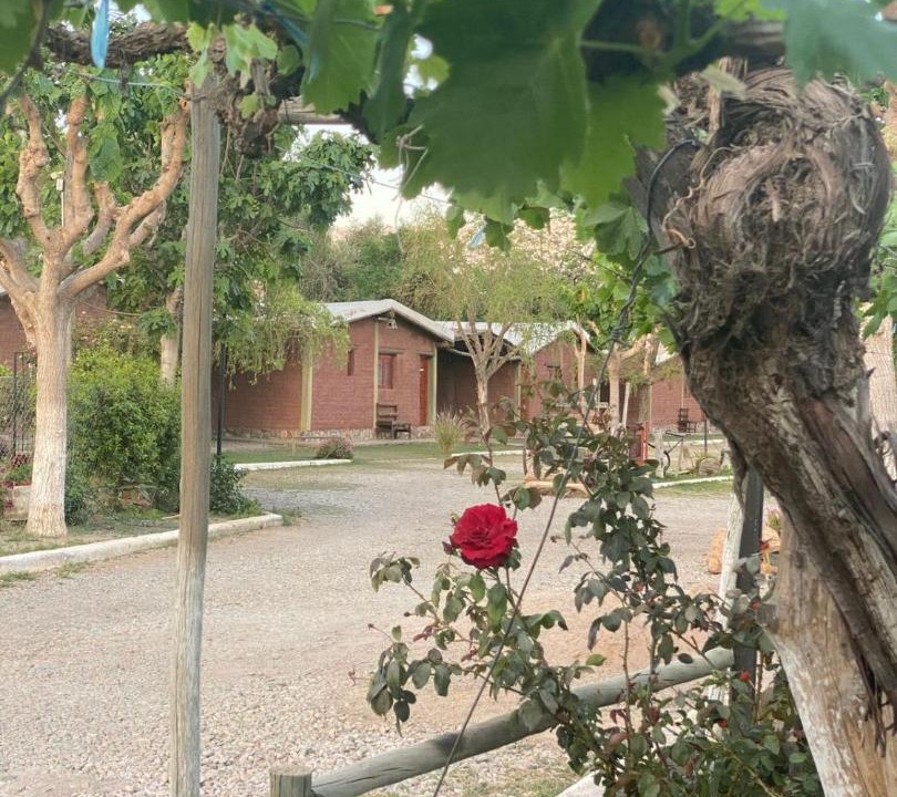 Photo of Others in Chilecito