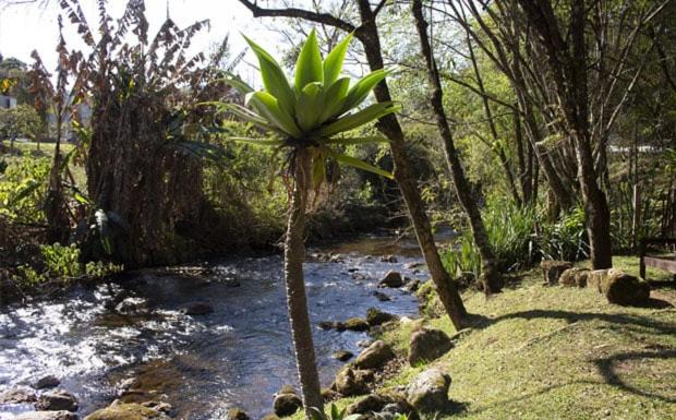 Photo of Others in Goncalves