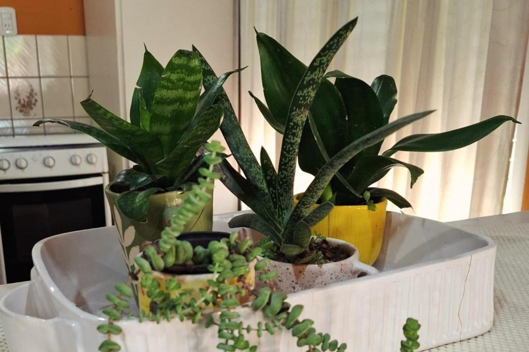 Photo of Others in Villa Elisa