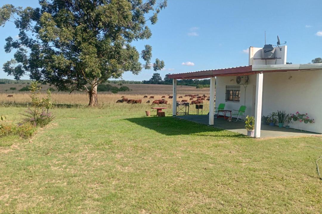 Photo of Others in Federacion