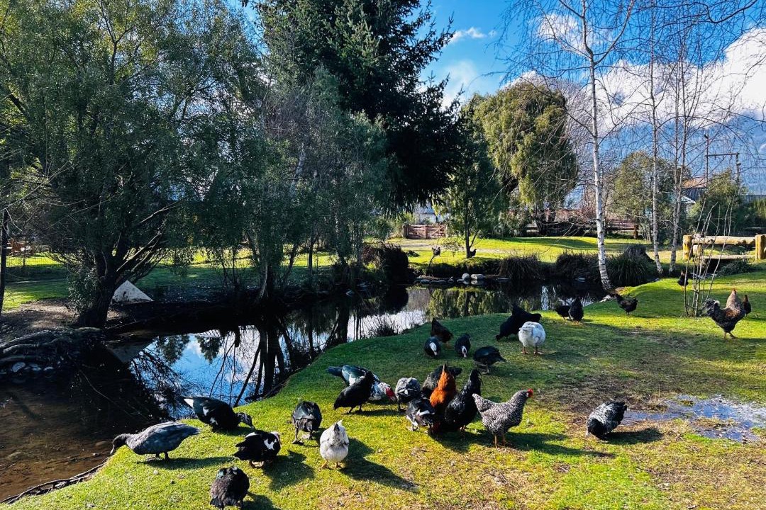 Photo of Others in Lago Puelo
