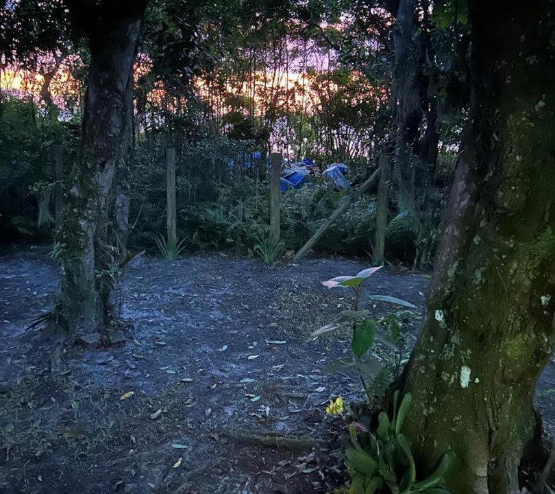 Photo of Others in Paranagua