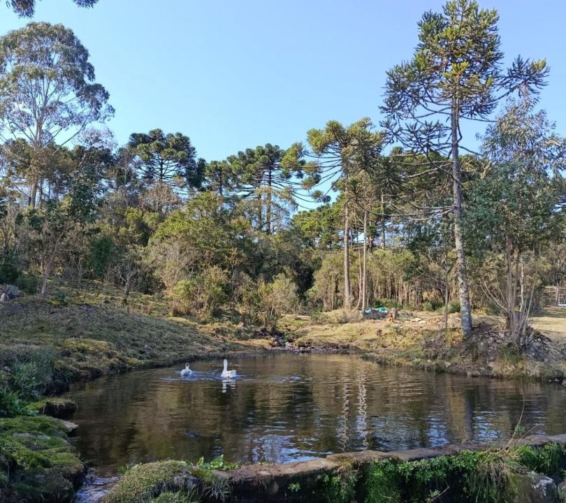 Photo of Others in Cambara do Sul