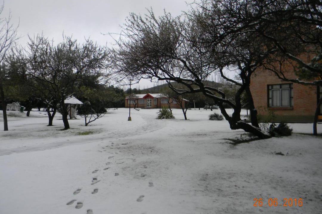 Photo of Others in Merlo