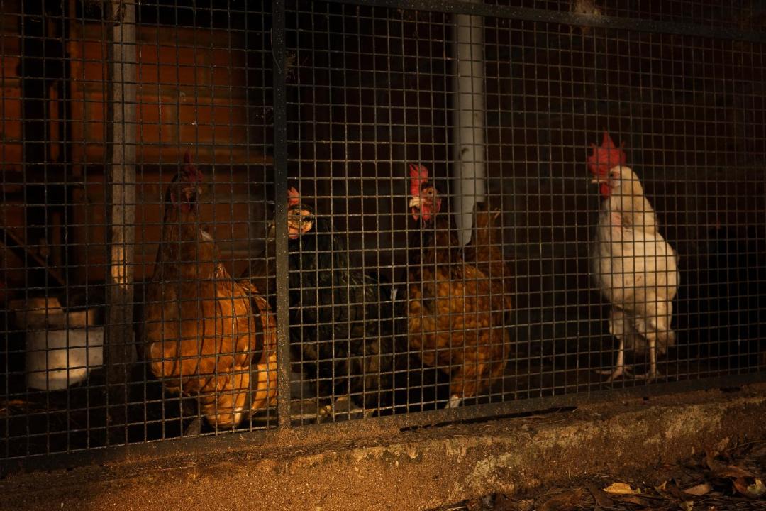 Photo of Others in Las Toninas