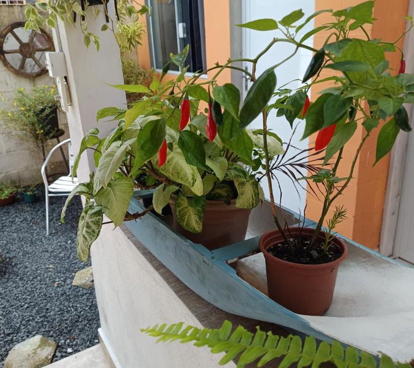 Photo of Patio Balcony in Cananeia
