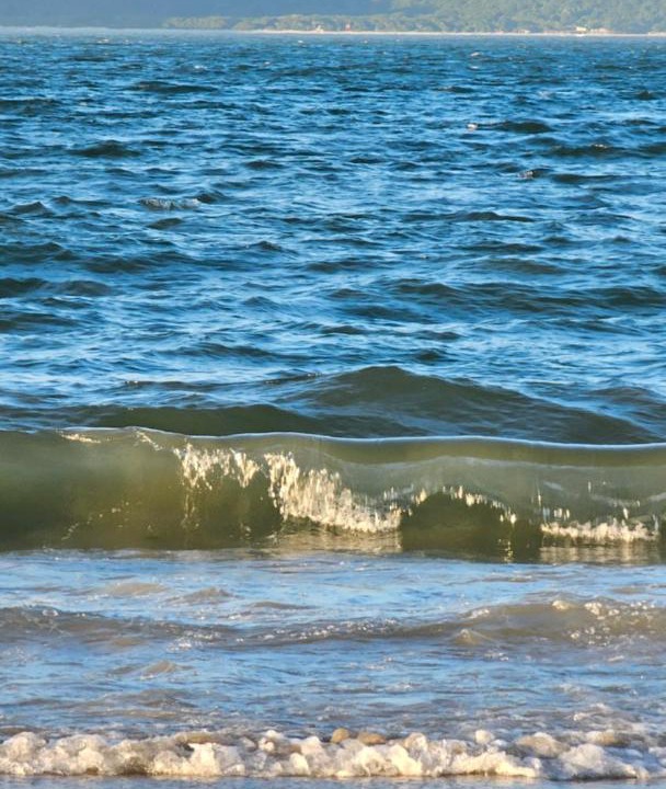 Photo of Others in Florianopolis