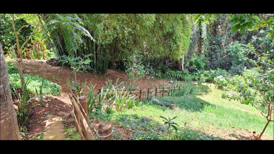 Photo of Others in Corrego do Bom Jesus