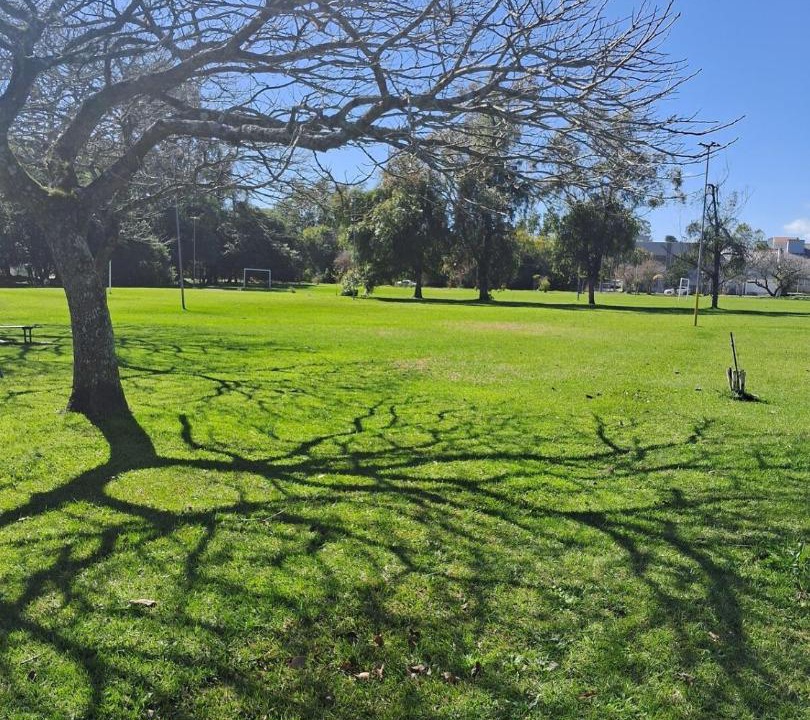 Photo of Others in Jardim Itu