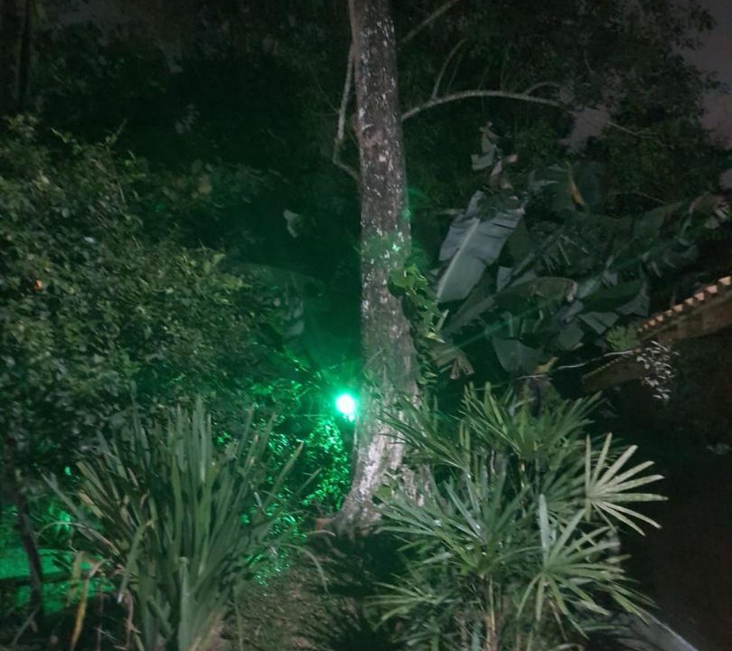 Photo of Others in Santo Amaro da Imperatriz