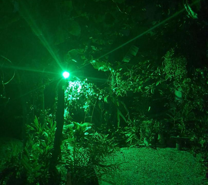 Photo of Others in Santo Amaro da Imperatriz
