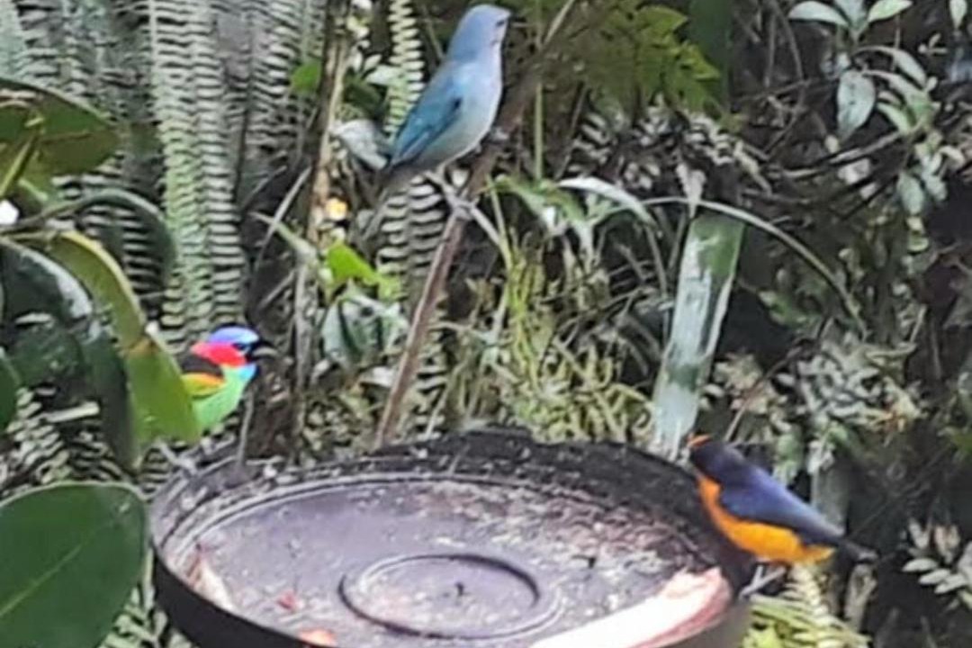 Photo of Others in Itapoa