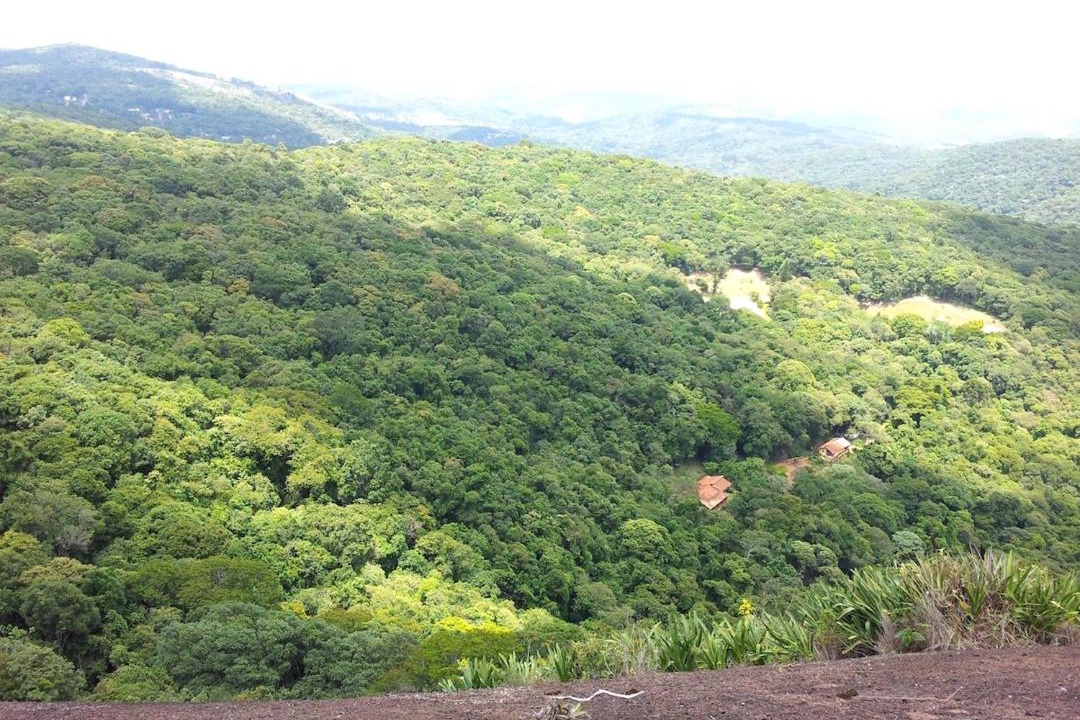 Photo of Others in Bom Jesus dos Perdoes