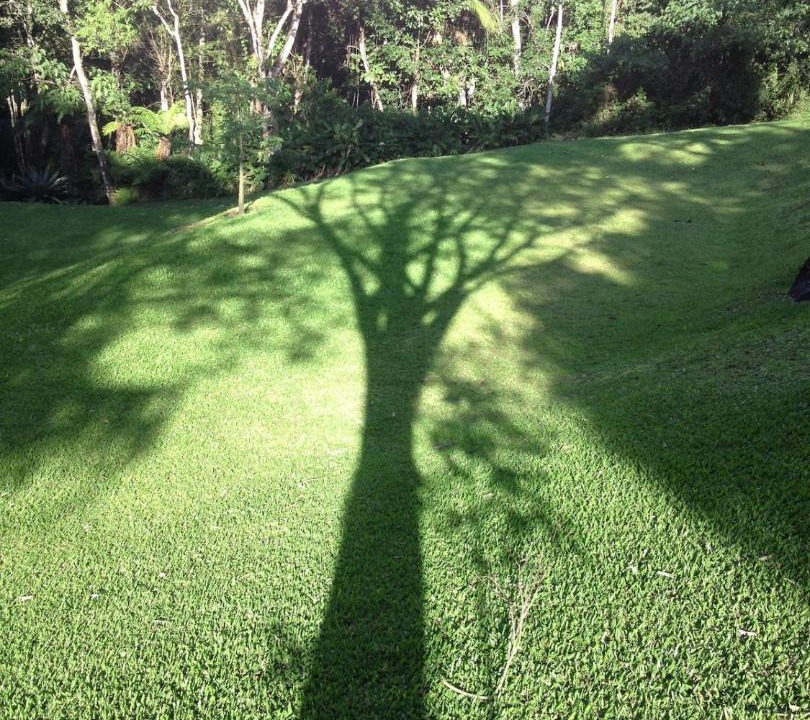 Photo of Others in Bom Jesus dos Perdoes