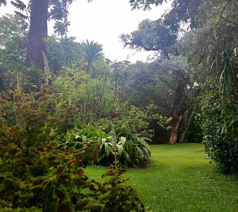 Photo of Others in Bom Jesus dos Perdoes