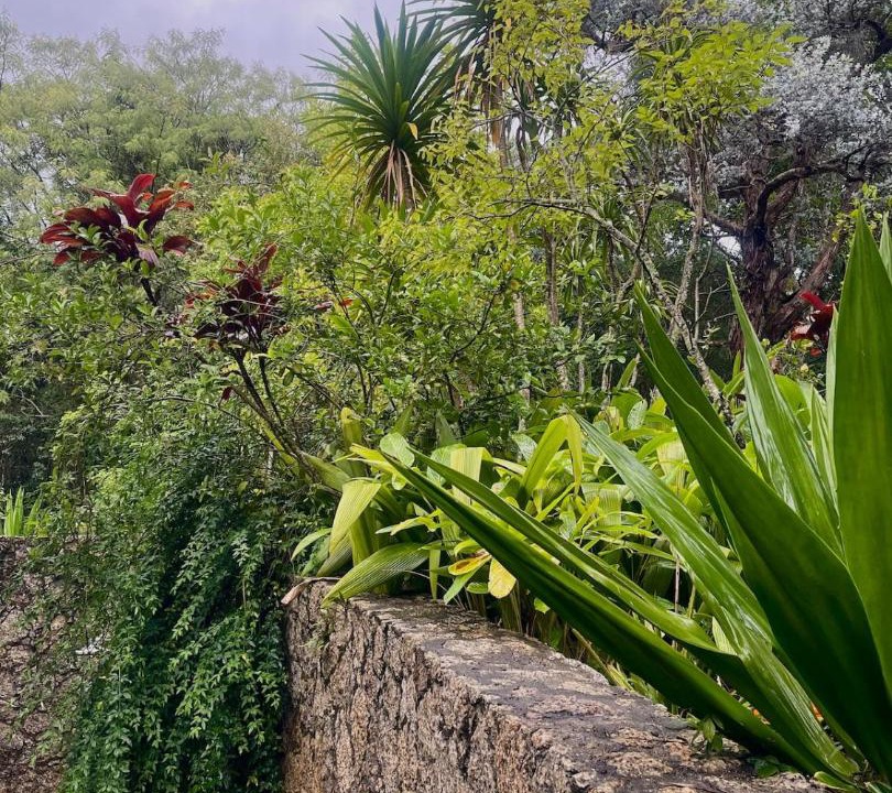 Photo of Others in Bom Jesus dos Perdoes