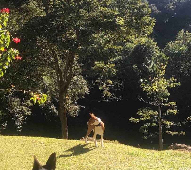 Photo of Others in Bom Jesus dos Perdoes