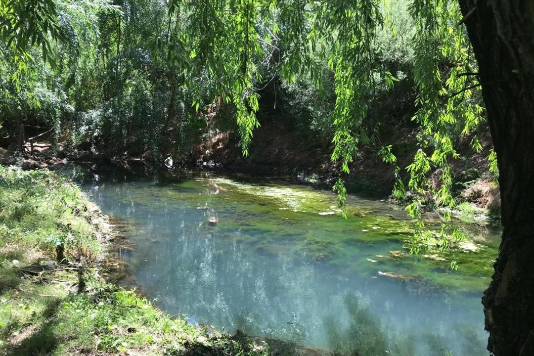 Photo of Others in Barreal